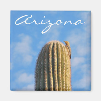 Arizona Magnet Magneet