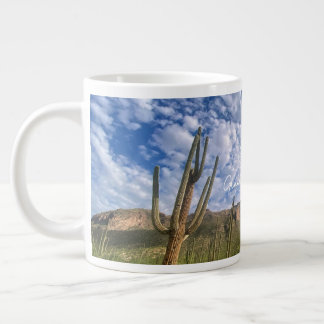 Arizona Mok