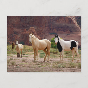 Arizona, Navajo Indian Reservation, Chinle, Briefkaart