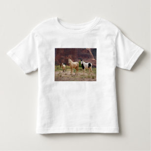 Arizona, Navajo Indian Reservation, Chinle Kinder Shirts