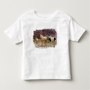Arizona, Navajo Indian Reservation, Chinle Kinder Shirts