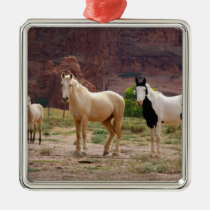Arizona, Navajo Indian Reservation, Chinle, Metalen Ornament