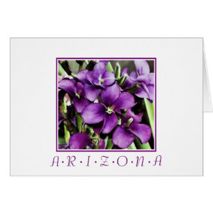 Arizona paarse bloemen