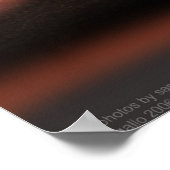 Arizona Raven Poster (Hoek)