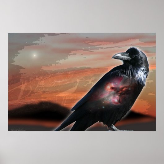 Arizona Raven Poster (Voorkant)