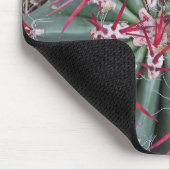 Arizona Red Barrel Cactus Desert Plant Southwest Muismat (Hoek)