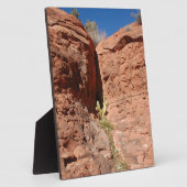 Arizona Red Rocks Landscape Foto Fotoplaat (Zijkant)