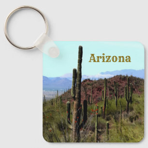 Arizona saguaro berglandschap sleutelhanger
