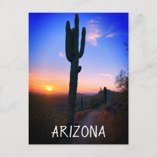 Arizona Saguaro Cactus Sunset Souvenir Travel Briefkaart