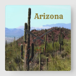 Arizona saguaro mountain landscape  vierkante klok