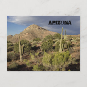 Arizona Schilderachtig Briefkaart