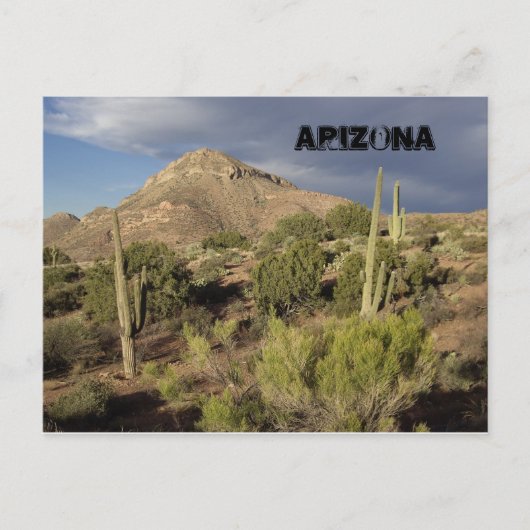 Arizona Schilderachtig Briefkaart (Voorkant)