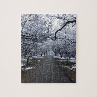 Arizona Snow Scene Puzzle - Middelgroot 110 stuks Legpuzzel