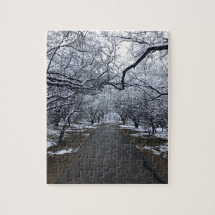 Arizona Snow Scene Puzzle - Moyenne 110 Pièces