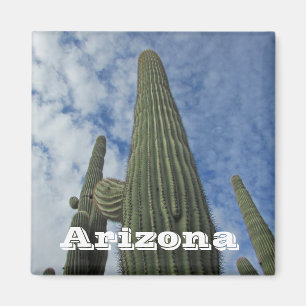 Arizona Southwest Cacti Blue Sky Saguaro Cactus Magneet