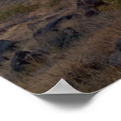 Arizona Southwest Desert Sunset Poster (Hoek)