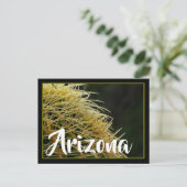 Arizona spikes briefkaart (Staand voorkant)