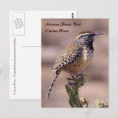 Arizona Staatsvogel - Cactuswinterkoning Ansichtka Briefkaart (Voorkant / Achterkant)