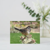 Arizona State Bird - Cactus Wren Briefkaart (Staand voorkant)