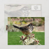 Arizona State Bird - Cactus Wren Briefkaart (Voorkant / Achterkant)