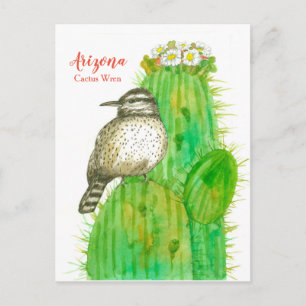 Arizona State Bird Cactus Wren White Blossom Briefkaart