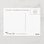 Arizona State Bird - Carte postale Cactus Wren (Dos)