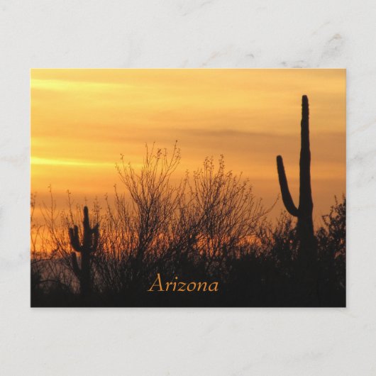 Arizona Sunset-3 Briefkaart (Voorkant)