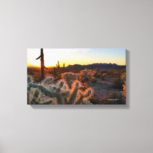 Arizona Sunset in Sonoran Desert met Cactus Canvas Afdruk (Voorkant)