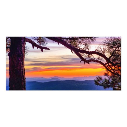 Arizona Sunset Pine Tree Mountains Schilderachtig  Foto Afdruk (Voorkant)