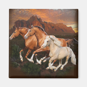 Arizona wilde paarden magneet