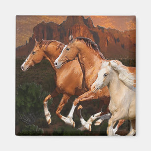 Arizona wilde paarden magneet