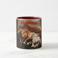 Arizona wilde paarden