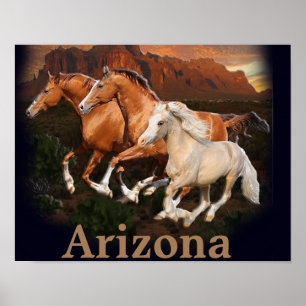 Arizona Wilde Paarden Poster