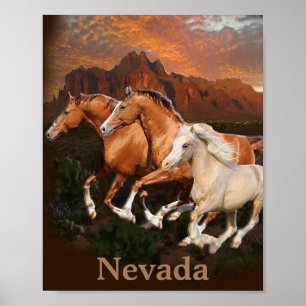 Arizona wilde paarden poster