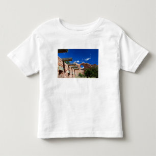 Arizona, Window Rock. Hoofdstad van de Navajo Kinder Shirts