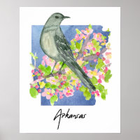 Arkansas De Natuurstaat Spotlijster Appelbloesems