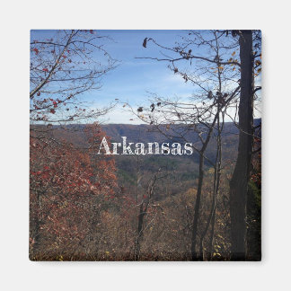 Arkansas Magneet