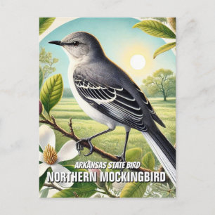 Arkansas State Bird Northern Mockingbird Briefkaart