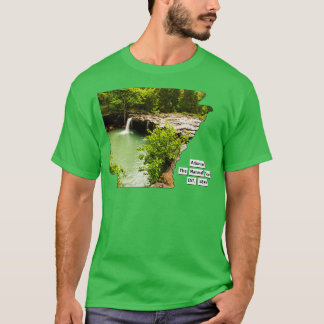Arkansas USA T-shirt