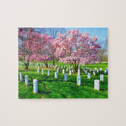 Arlington Virginia Legpuzzel (Horizontaal)