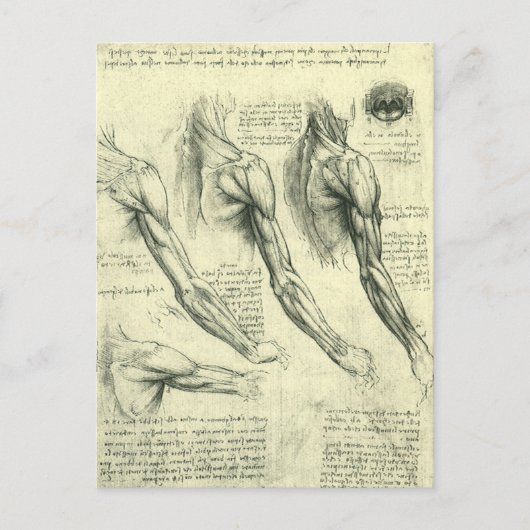 Arm en schouder Anatomie door Leonardo da Vinci Briefkaart (Voorkant)