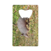 Armadillo (Devant)