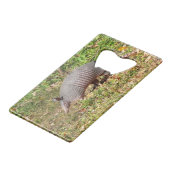 Armadillo (Dos Angle)