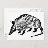 Armadillo Briefkaart (Voorkant / Achterkant)