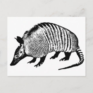 Armadillo Briefkaart