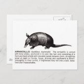 armadillo briefkaart (Voorkant / Achterkant)