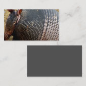 armadillo - foto van visitekaartje (Voorkant / Achterkant)