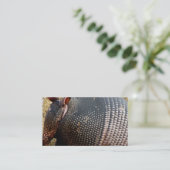armadillo - foto van visitekaartje (Staand voorkant)