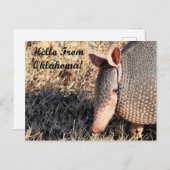Armadillo Hallo uit Oklahoma Post Card Briefkaart (Voorkant / Achterkant)
