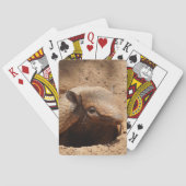 Armadillo in het Gezegde Hole Hallo Pokerkaarten (Achterkant)